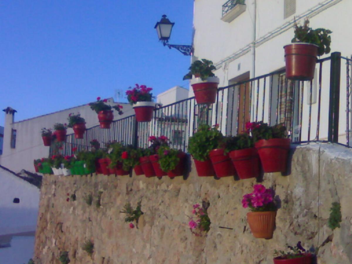 Casilla Dalea En Carcabuey, Descubre El Interior De Andalucia Exterior foto