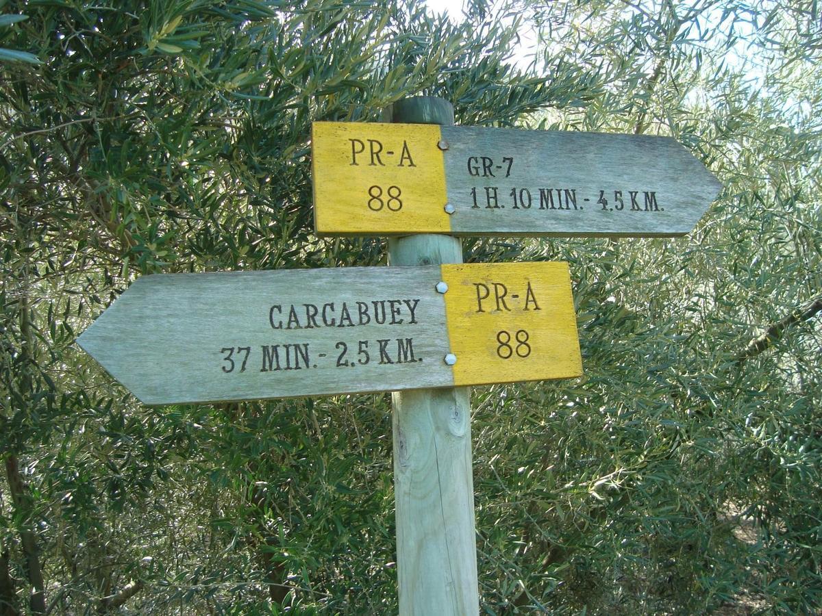 Casilla Dalea En Carcabuey, Descubre El Interior De Andalucia Exterior foto