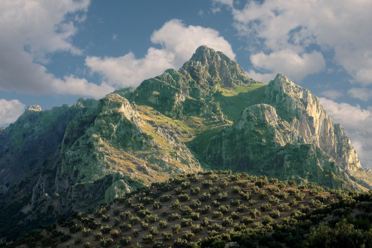Casilla Dalea En Carcabuey, Descubre El Interior De Andalucia Exterior foto