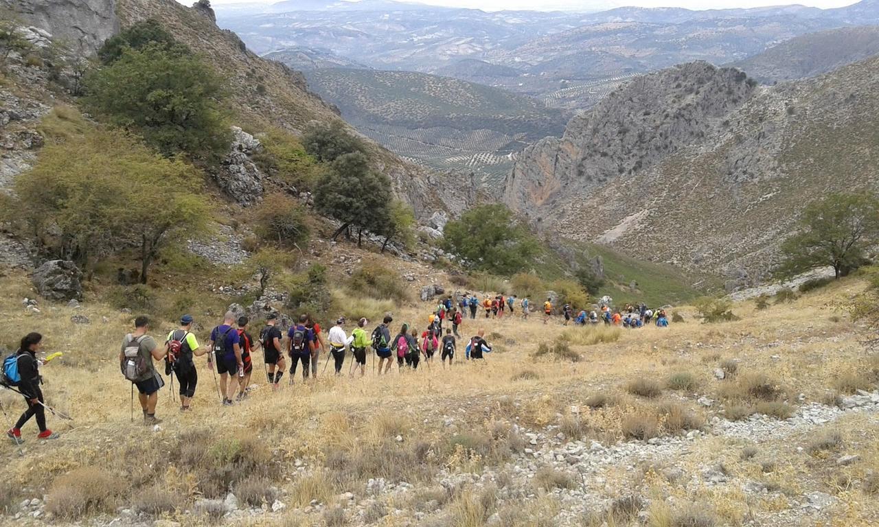 Casilla Dalea En Carcabuey, Descubre El Interior De Andalucia Exterior foto